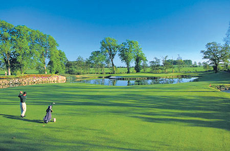 高尔夫杯赛焦点战：闽南天狼队大胜江畔白虎队，外线火力全开。的简单介绍